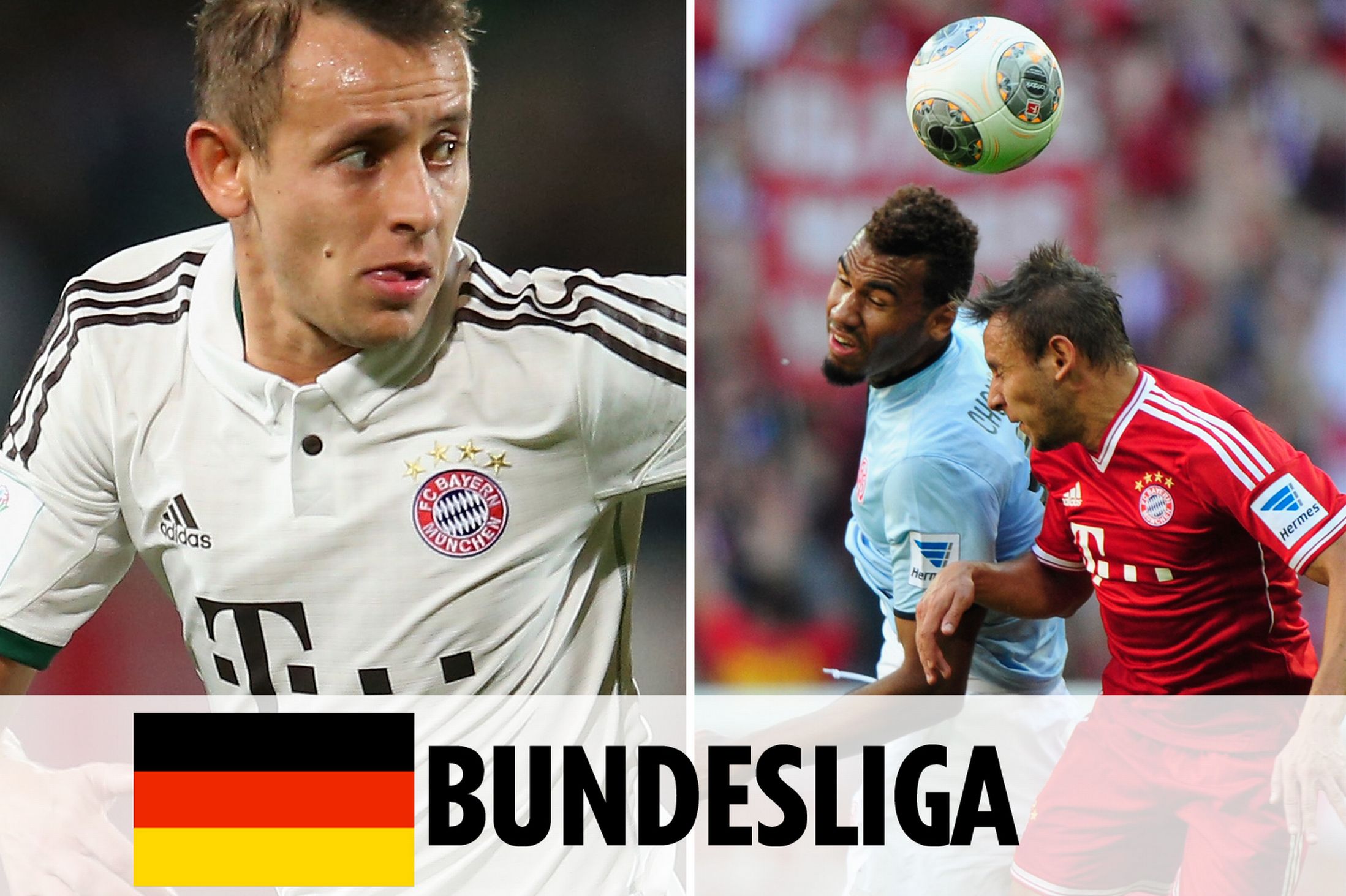 胜的佳绩 胜的佳绩