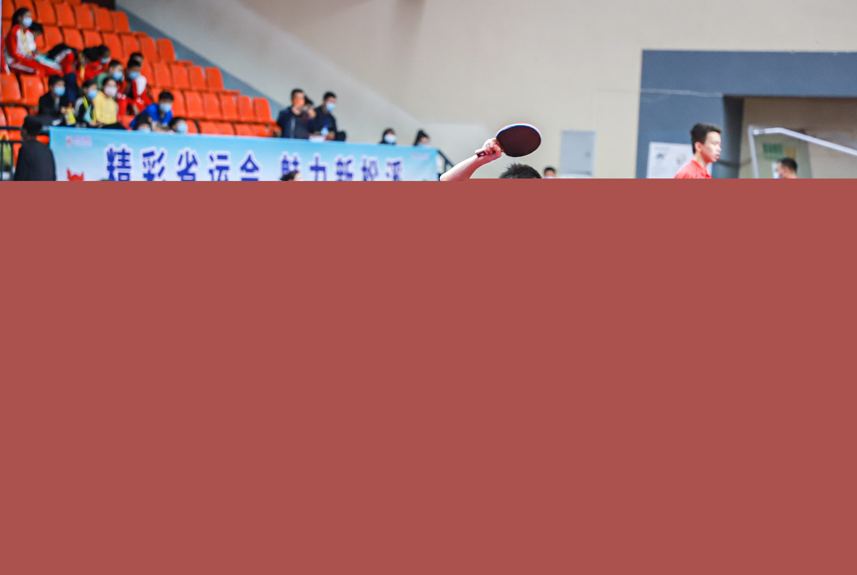 以及新引进 以及新引进