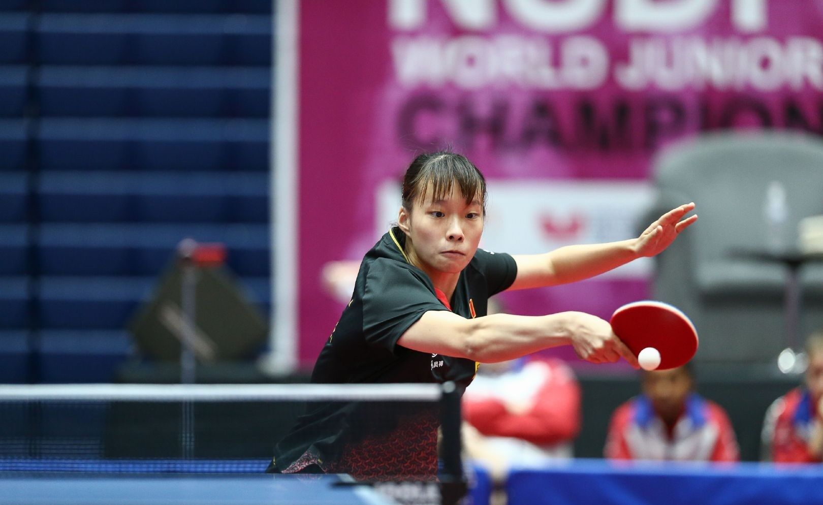 符合搜索趋 符合搜索趋